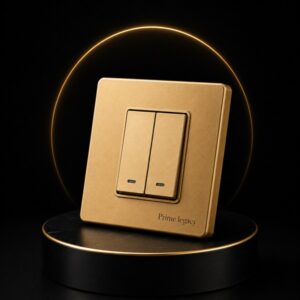 LP Deluxe 2 Way Switch
