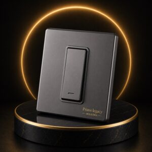 LP Maxima1 Way Switch